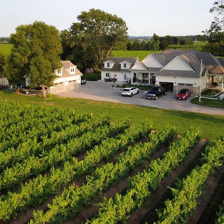 Villa In The Vines Niagara-on-the-Lake Esterno foto