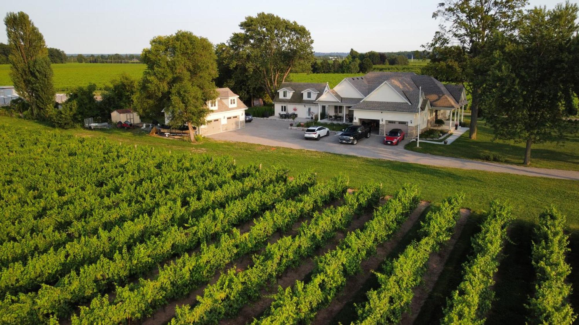 Villa In The Vines Niagara-on-the-Lake Esterno foto